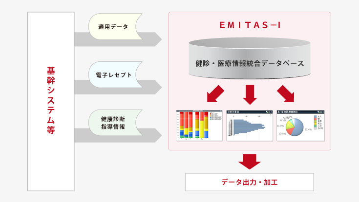 EMITAS-I（健診・医療情報統合分析システム）